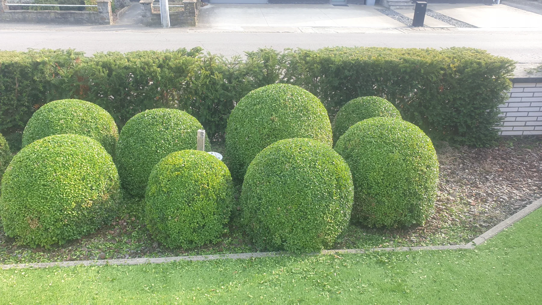 Vormsnoei met bollen en afgeronde struiken