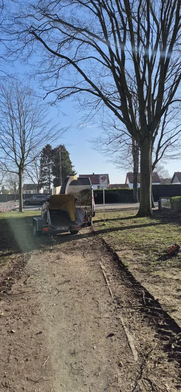 Boom en compacte machine op een oprit