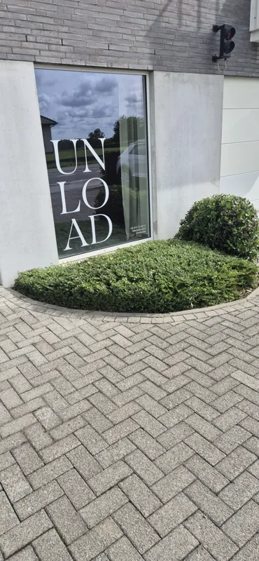 Afgeronde struik langs een verharde oprit